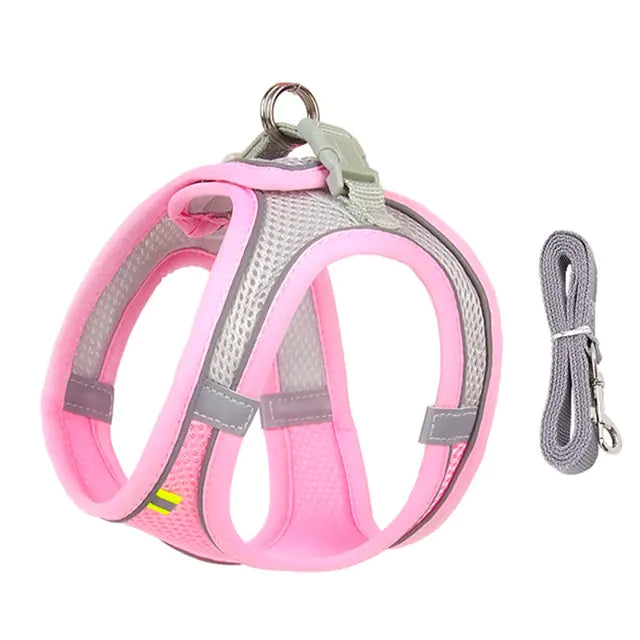 Harness Leash Set for Small Dogs