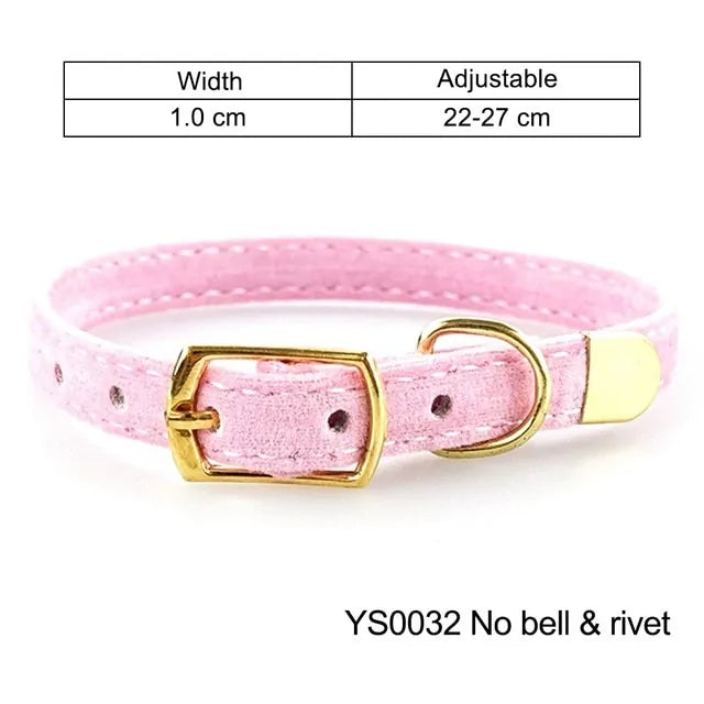 Collar For Small Cats & Dogs